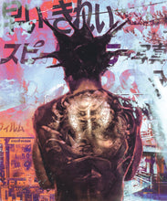 Load image into Gallery viewer, Red&White Canvas